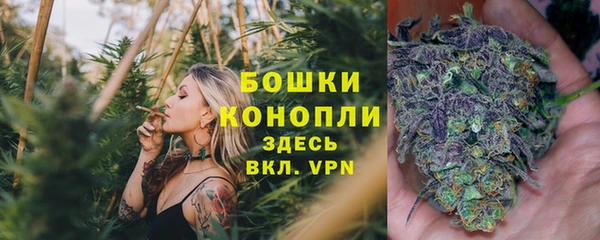 apvp Армянск